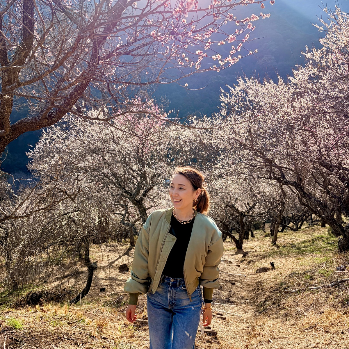 春の湯河原は、4000本の梅の花じゅうたんから始まる　〜大人の開運さんぽ〜