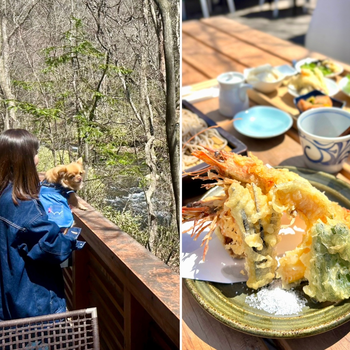 軽井沢ハルニレテラスへ⭐︎美味しいお蕎麦＆カフェ&川沿い散歩で森林浴♪