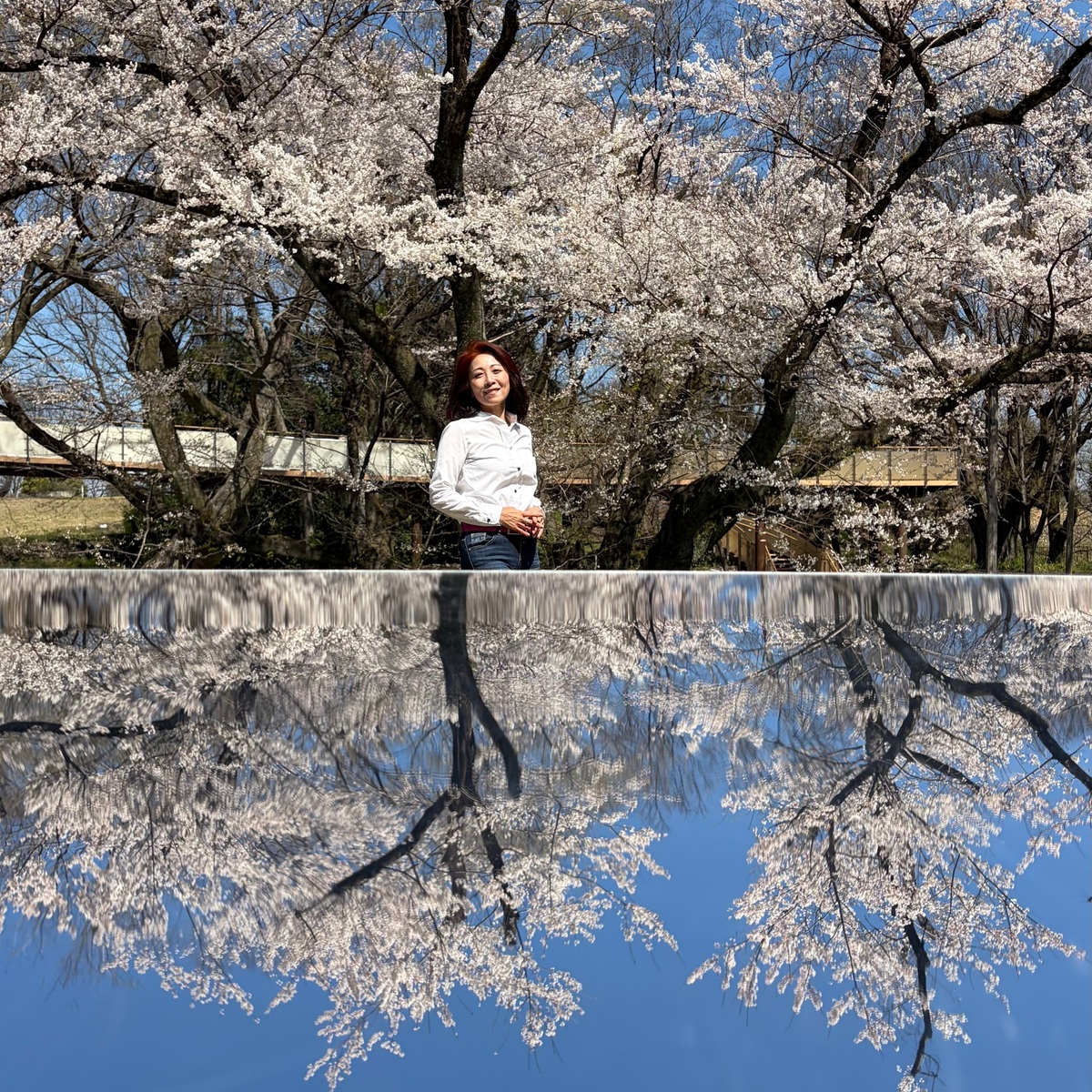 ときめく散歩道