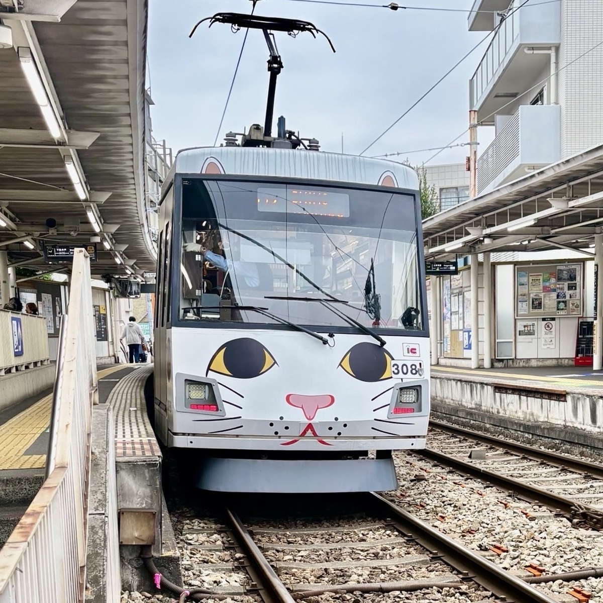 出会えると嬉しい♪『幸運の招き猫電車』
