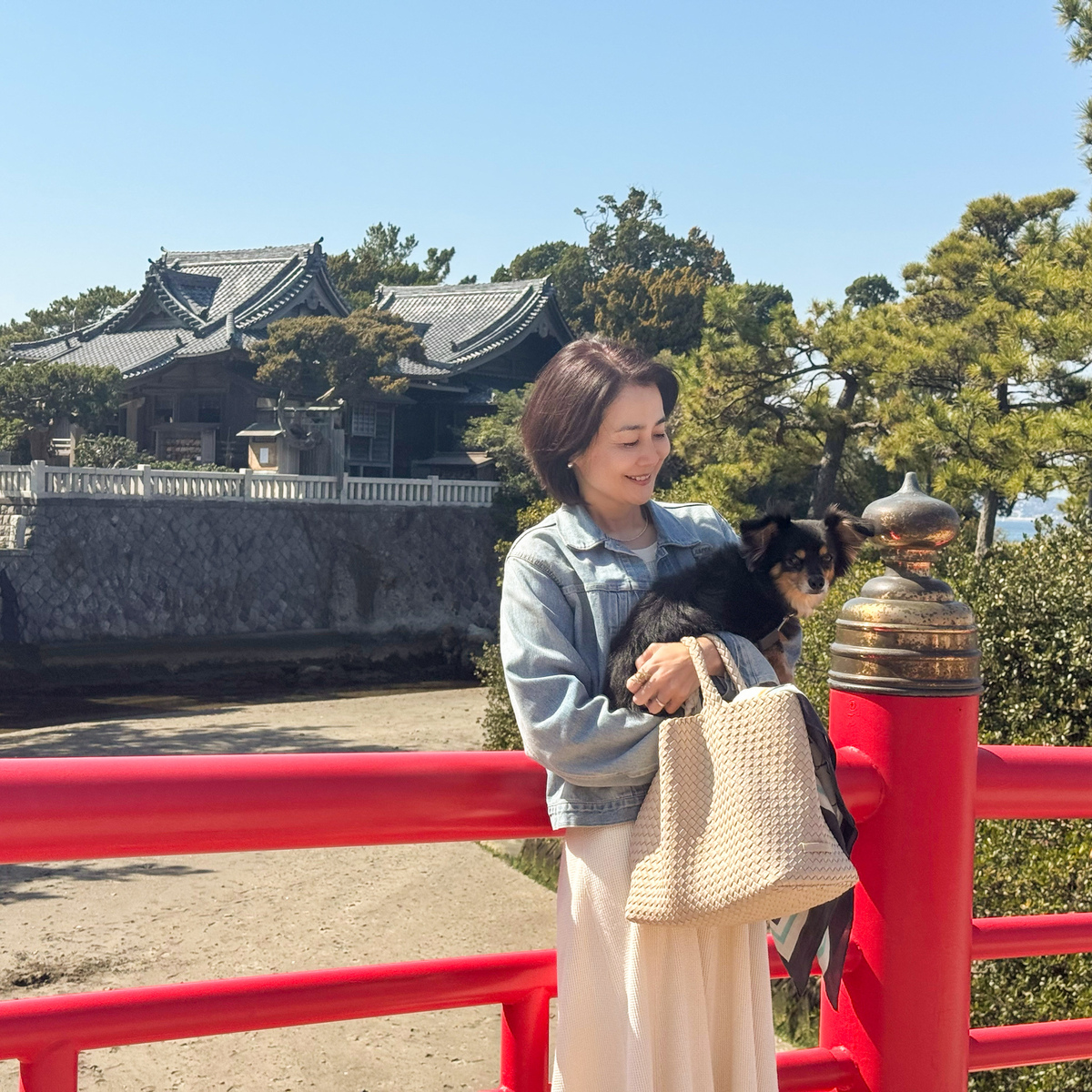 葉山さんぽ｜名物ランチ、パワースポット、海カフェを巡る最高の休日コース♪