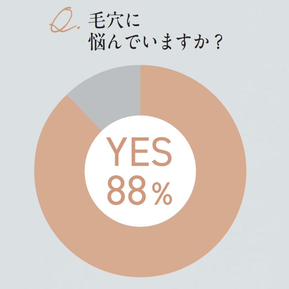 清潔感のなさ＆老け見えに直結。大人だって、“汚れ毛穴”に気をつけて！