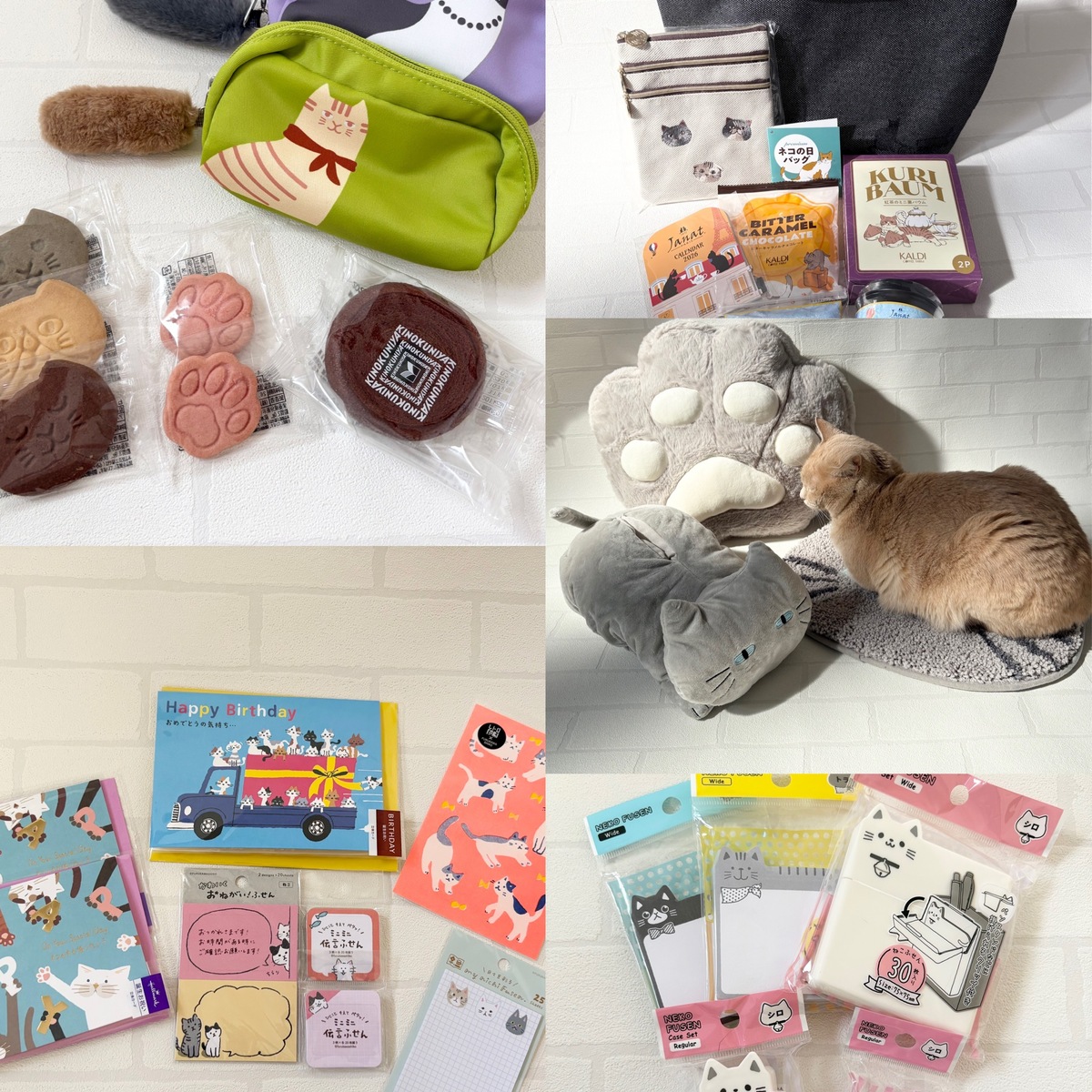 2月22日は「猫の日」今年もねこで彩ります！