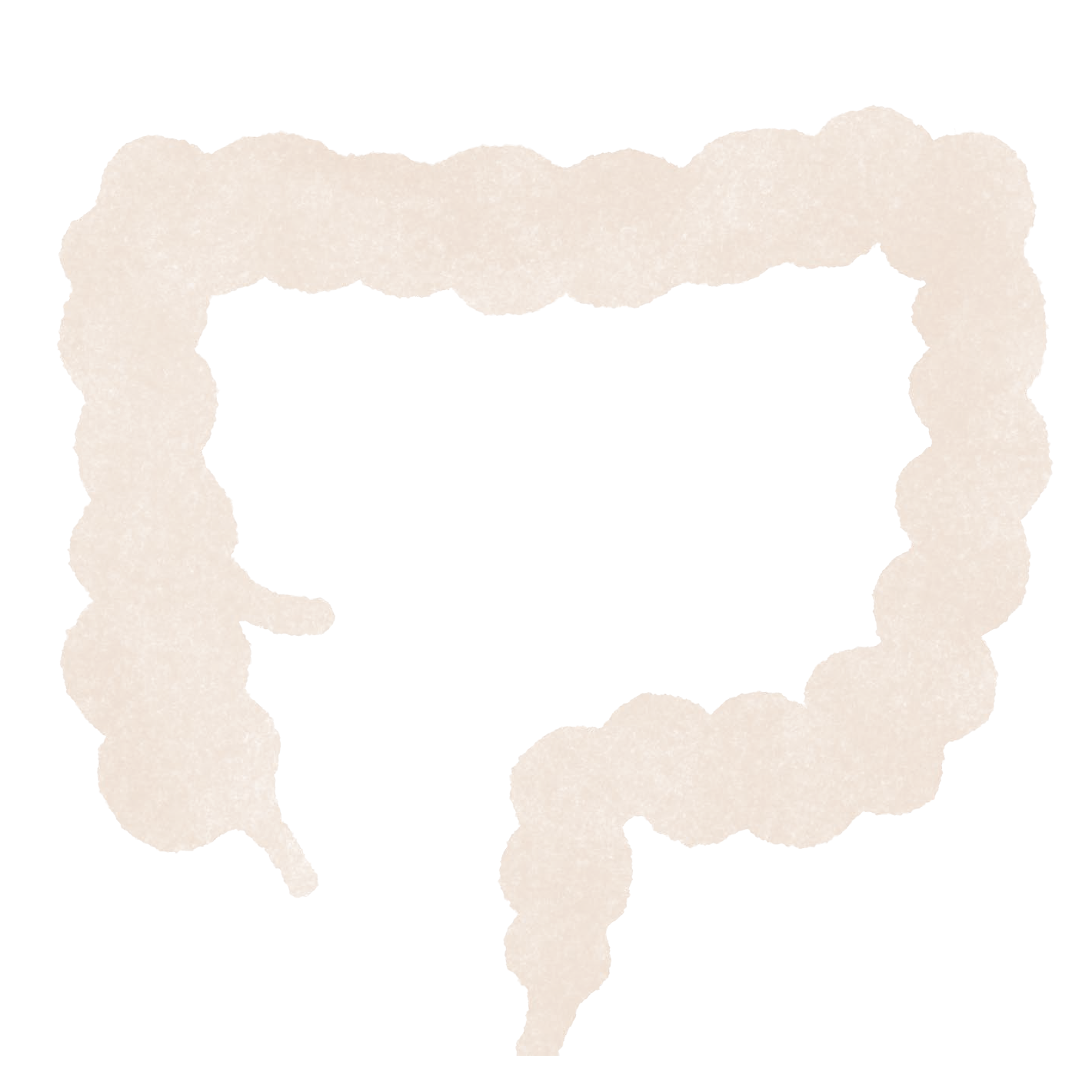 専門家に聞く！ 消化、免疫、エイジング、メンタルもつかさどる「腸」の役割は思った以上にスゴかった！