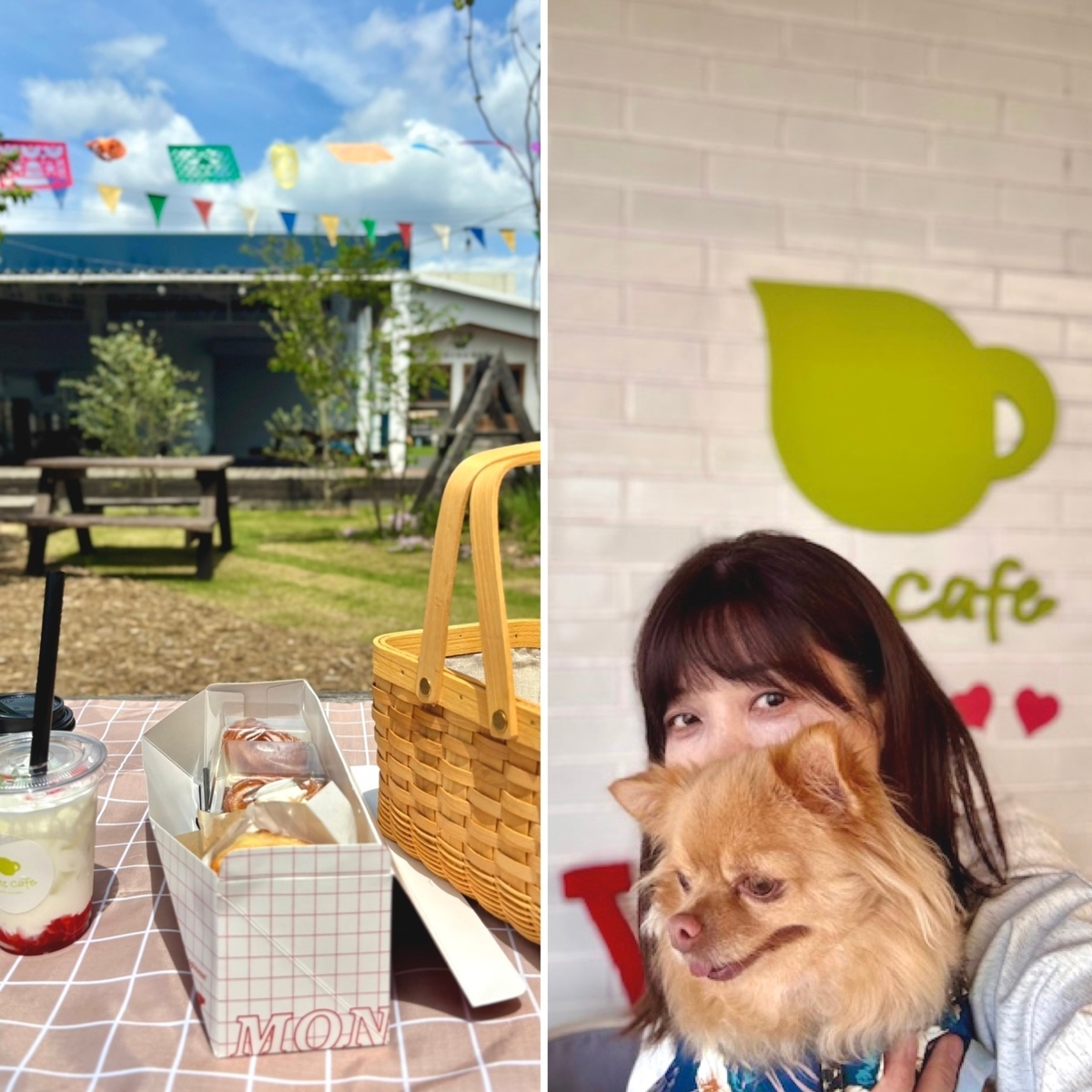 千葉へわんことおでかけ。ピクニックも楽しめるおしゃれcafeへ♪期間限定の生ドーナツ美味しかったです！