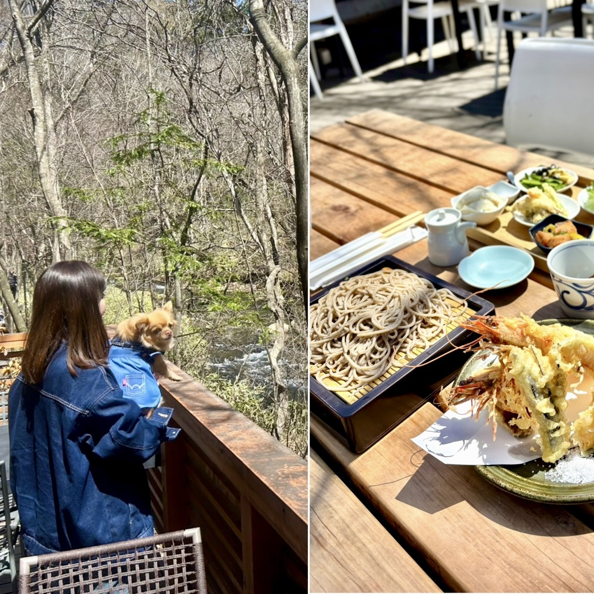 軽井沢ハルニレテラスへ⭐︎美味しいお蕎麦＆カフェ&川沿い散歩で森林浴♪