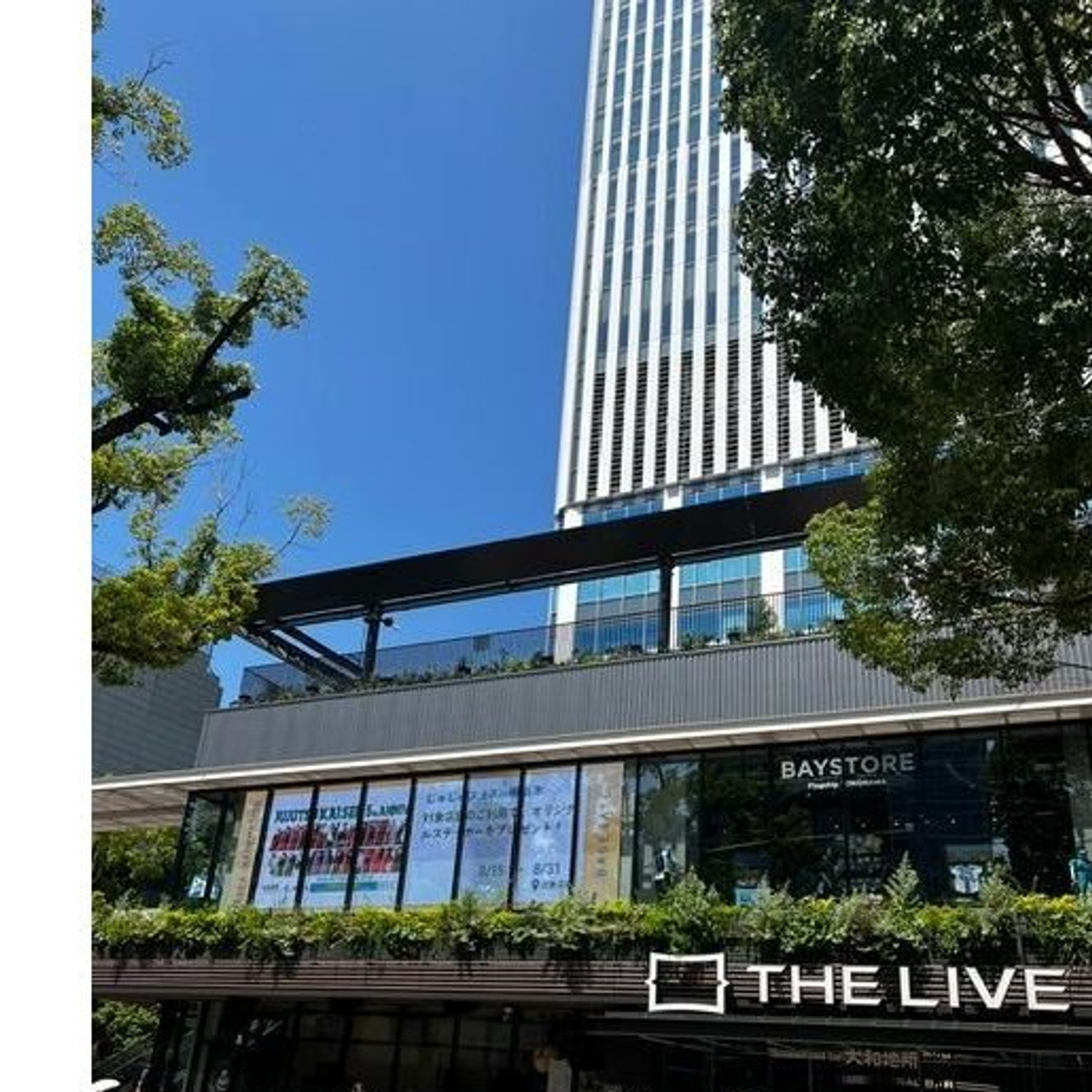 横浜関内にある新名所BASEGATE内にあるサラベスさんでランチ！店内は気持ちの良い空間で特にテラス席がおすすめでした