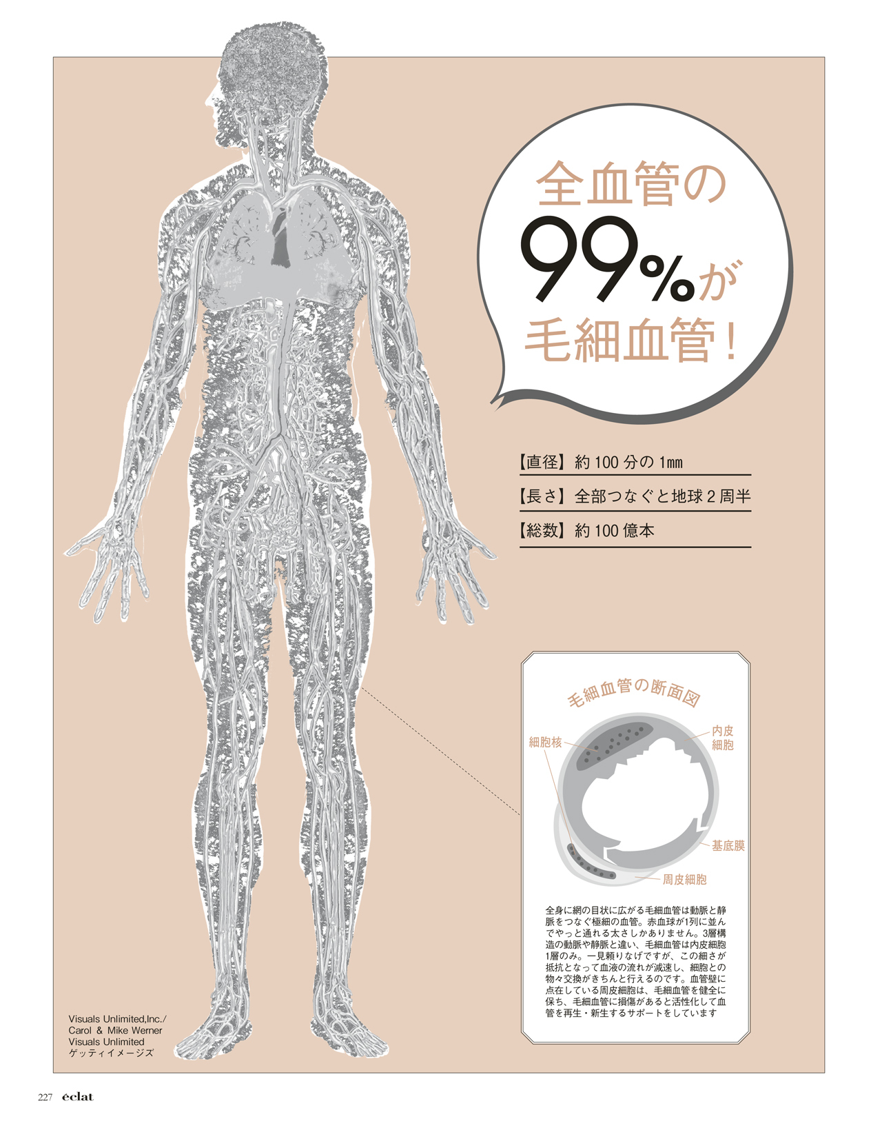 2017年6月号試し読み37/39