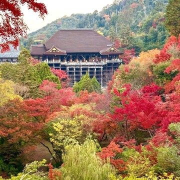 秋色に染まる絶景「紅葉スポット」 photo gallery