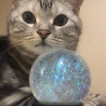 メリークリスマス！