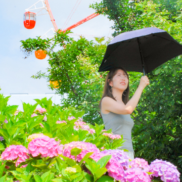 【さかぽんの冒険】朝活からの紫陽花旅☆@お台場