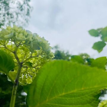 がんになった私が、救われた言葉、困った言葉【乳がん回想録4】