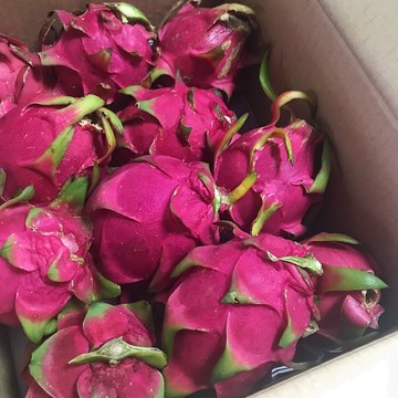 【とげまる家の ちかっぱ旨かもん】沖縄県那覇市のドラゴンフルーツ