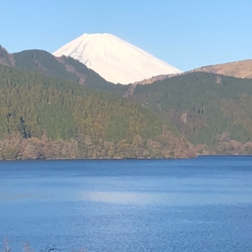 新しい年に向けて