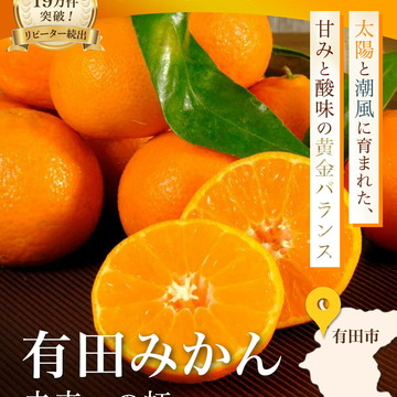 【ふるさと納税】実際によかった果物・野菜の返礼品！ シャインマスカットや桃など大満足のおすすめ5選