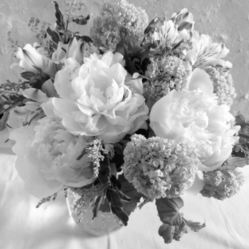 Jマダムのオンラインレッスン体験談2【50歳から始める「オンラインレッスン」】