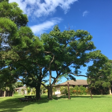 ザ・リゾート♪