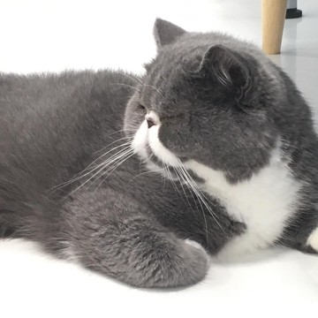 「かわいい」の、ひとつのかたち。