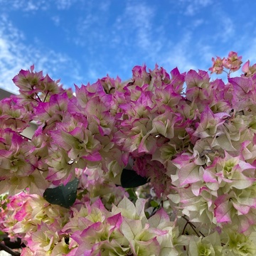 季節を楽しむ♪