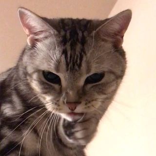 ママより美意識高い⁉︎