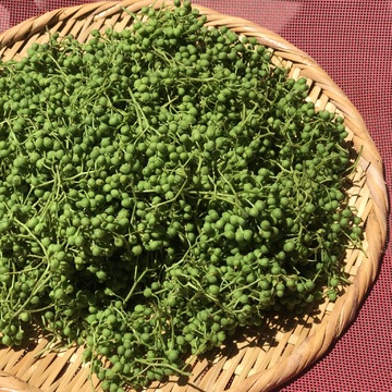 ぶどう山椒の手仕事