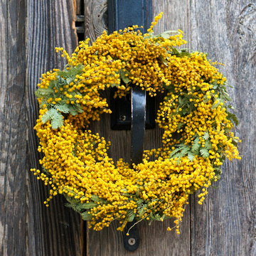 季節を感じる癒しのリース達