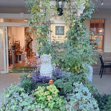 秋のイングリッシュガーデン