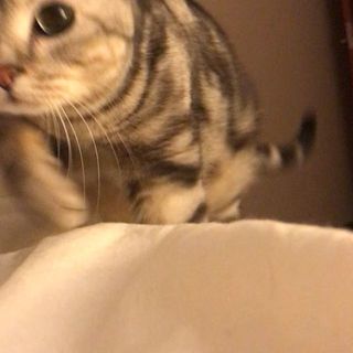 アランに起こされる～