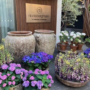 50の手習いとなる……!?　ニコライ バーグマンのフラワースクールへ行ってきました【ウェブエクラ編集長シオヤの「あら、素敵☆ 手帖」#64】