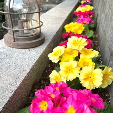 マヌマヌのブログ〜最終章