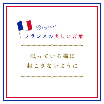 眠っている猫は起こさないようにーIl ne faut pas réveiller le chat qui dort. 【フランスの美しい言葉 vol.15】