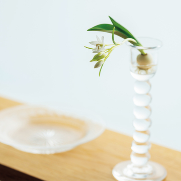 【感性を磨く京都】花の“一瞬の美しさ”と出会う旅