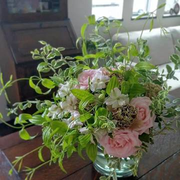 ようやくお花日和になりました