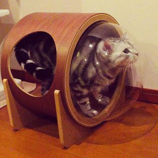 アラン、宇宙船に乗る⁉︎