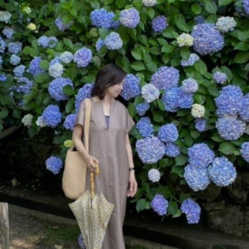 奈良の長谷寺へ　ーあじさいの季節ー　前編