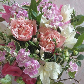 フリンジ咲きの素敵なチューリップに出合いました♪