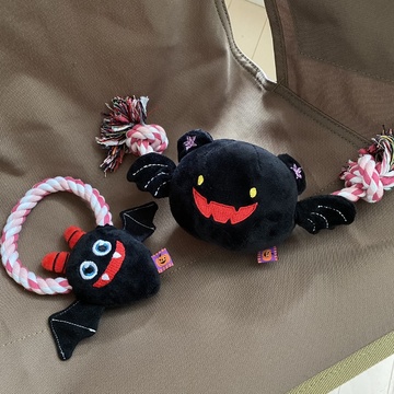 ワンコにもハロウィングッズ！