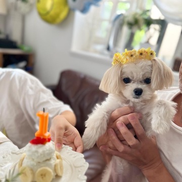癒しをありがとう❤犬のいる暮らし