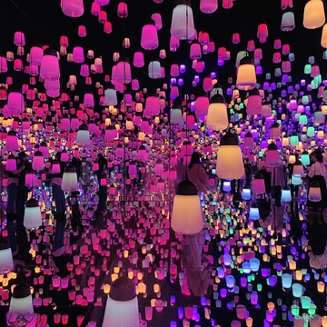 デジタルアート ミュージアム お台場✨「エプソン チームラボボーダレス」の美しい世界観