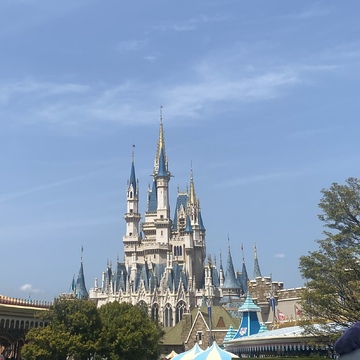 ひとりディズニーデビュー