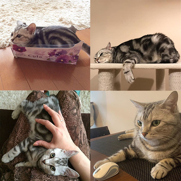 赤ちゃんから大人へと成長していく過程も楽しめる！【アラン人気記事月間ランキングTOP10】