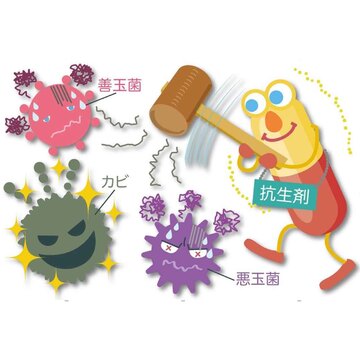 抗生剤や制酸剤の多用で「お腹のカビ」が爆増する！その原因を内科医の先生が解説