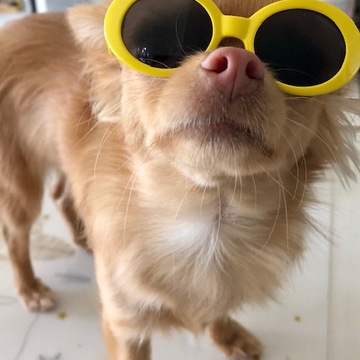 私の最近のお気に入りアイテム♡