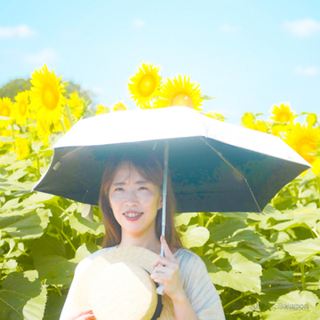 🌻ひまわりフェス🌻から、ひょっこりぽん♡