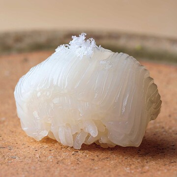 【京都 新しい食の愉しみ】口福眼福に満たされる！料亭・菊乃井が手がける寿司割烹『鮨 青』