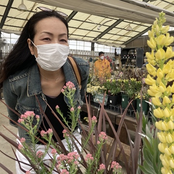 春ですね。お庭にハーブを植えました。