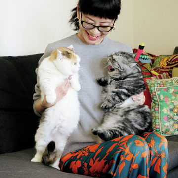 【あの人の溺愛ねこ図鑑 第14回】今井志保子さんの愛猫・マンチカンのマンチロウと姫子