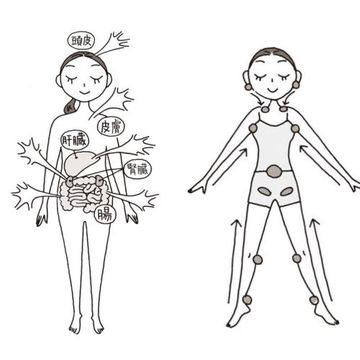 老廃物を流して体すっきり！50代の「排出力」を高める方法とは？