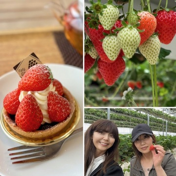 雨でも楽しいおでかけ♪いちご狩り＆道の駅へ