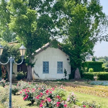 茨城の自然が楽しめる素敵な場所へ